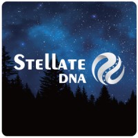 Stellate DNA logo, Stellate DNA contact details