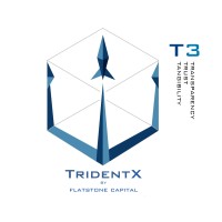 TridentX by FlatStone Capital Markets Inc. logo, TridentX by FlatStone Capital Markets Inc. contact details