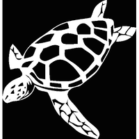 OCEAN TURTLE DIVING LIMITED logo, OCEAN TURTLE DIVING LIMITED contact details