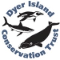 Dyer Island Conservation Trust logo, Dyer Island Conservation Trust contact details