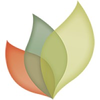 Senses Web Solutions logo, Senses Web Solutions contact details