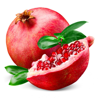 Pomegranate Global logo, Pomegranate Global contact details