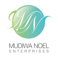 Mudiwa Noel Enterprises logo, Mudiwa Noel Enterprises contact details