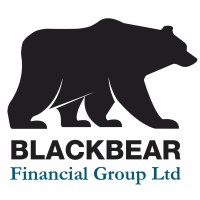 BlackBear Financial Group Ltd logo, BlackBear Financial Group Ltd contact details