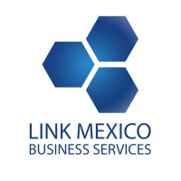 LINK MEXICO logo, LINK MEXICO contact details