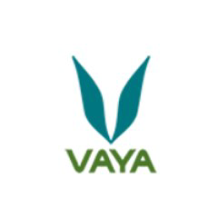 Vaya logo, Vaya contact details