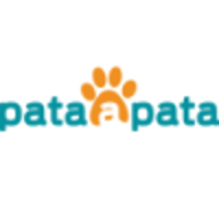 Pataapata logo, Pataapata contact details