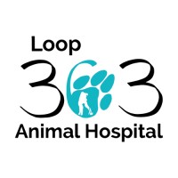 Loop 363 Animal Hospital logo, Loop 363 Animal Hospital contact details