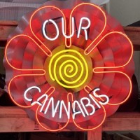 Our Cannabis logo, Our Cannabis contact details