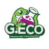 G.Eco logo, G.Eco contact details