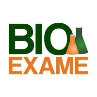 Bio Exame - Laboratório de Análises Clínicas logo, Bio Exame - Laboratório de Análises Clínicas contact details