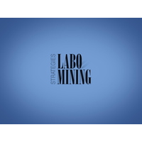 Labo Mining Strategies logo, Labo Mining Strategies contact details