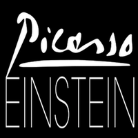 Picasso Einstein, LLC logo, Picasso Einstein, LLC contact details