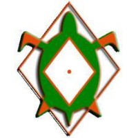 Turtle Rattle Learning, Inc logo, Turtle Rattle Learning, Inc contact details