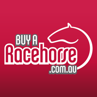 Buy a Racehorse logo, Buy a Racehorse contact details