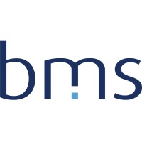 blue milestone GmbH logo, blue milestone GmbH contact details