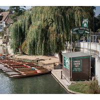 Cambridge Chauffeur Punts logo, Cambridge Chauffeur Punts contact details