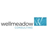 Wellmeadow Limited logo, Wellmeadow Limited contact details