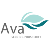 Ava Seeds logo, Ava Seeds contact details