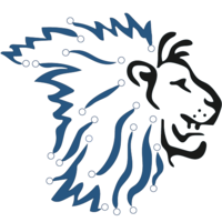 Lion IT logo, Lion IT contact details