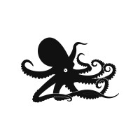 Black Octopus Agency logo, Black Octopus Agency contact details