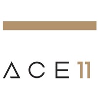 ACE 11 BV logo, ACE 11 BV contact details