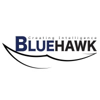 BLUEHAWK CI GROUP logo, BLUEHAWK CI GROUP contact details