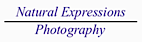 NATURAL EXPRESSIONS PHOTOGRAPHY logo, NATURAL EXPRESSIONS PHOTOGRAPHY contact details