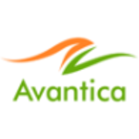 Avantica s.r.o. logo, Avantica s.r.o. contact details