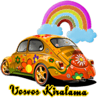 Vosvos Kiralama logo, Vosvos Kiralama contact details