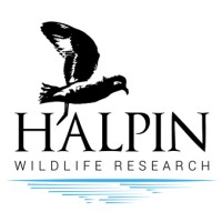 Halpin Wildlife Research logo, Halpin Wildlife Research contact details