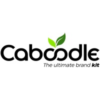 Caboodle Consultants logo, Caboodle Consultants contact details