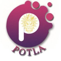 Potla Tech Solutions Pvt. Ltd logo, Potla Tech Solutions Pvt. Ltd contact details