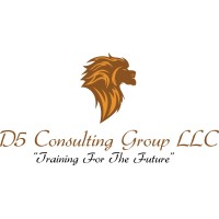 D5 Consulting Group LLC logo, D5 Consulting Group LLC contact details