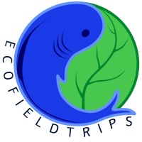 Ecofieldtrips Pte Ltd logo, Ecofieldtrips Pte Ltd contact details