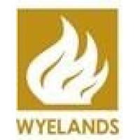 Wyelands Capital Limited logo, Wyelands Capital Limited contact details