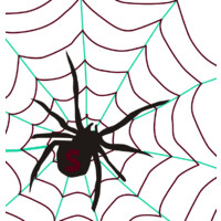 SpiderLab logo, SpiderLab contact details