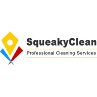 Squeaky Clean Services Nigeria Limited logo, Squeaky Clean Services Nigeria Limited contact details