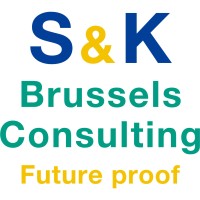 S&K Brussels Consulting Co., Ltd. logo, S&K Brussels Consulting Co., Ltd. contact details