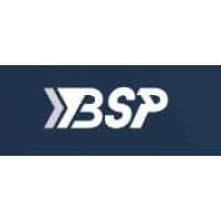 BSP Vision logo, BSP Vision contact details