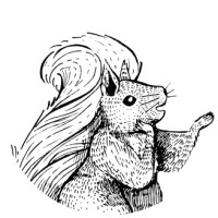 Squirrel Squared Limited logo, Squirrel Squared Limited contact details