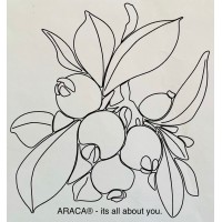 ARACA® - It's all about you.™ logo, ARACA® - It's all about you.™ contact details