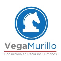 VM Consultores en Recursos Humanos logo, VM Consultores en Recursos Humanos contact details