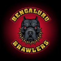 Bengaluru Brawlers logo, Bengaluru Brawlers contact details