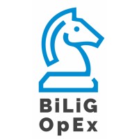 BiLiG Operational Excellence Consultants logo, BiLiG Operational Excellence Consultants contact details