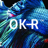 OK-R logo, OK-R contact details