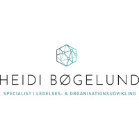 Heidi Bøgelund logo, Heidi Bøgelund contact details