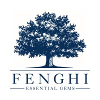 FENGHI logo, FENGHI contact details