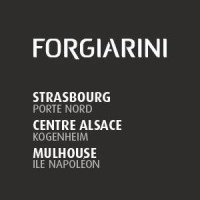 Forgiarini SAS logo, Forgiarini SAS contact details