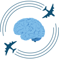 BrainyFlights.com logo, BrainyFlights.com contact details